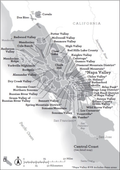 California Central Coast Wine Growing Areas detail Foreword A very curious - photo 7