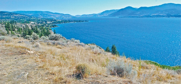 View of Okanagan Lake from above Naramata Despite the predominance of large - photo 2