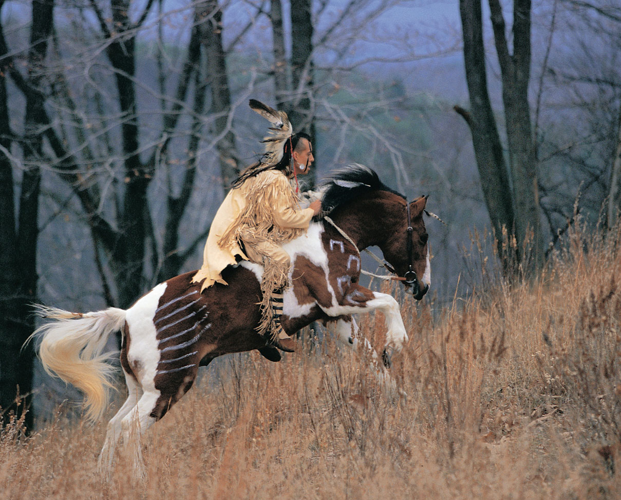 I NTRODUCTION This is the Native American horseman For many he represents - photo 4