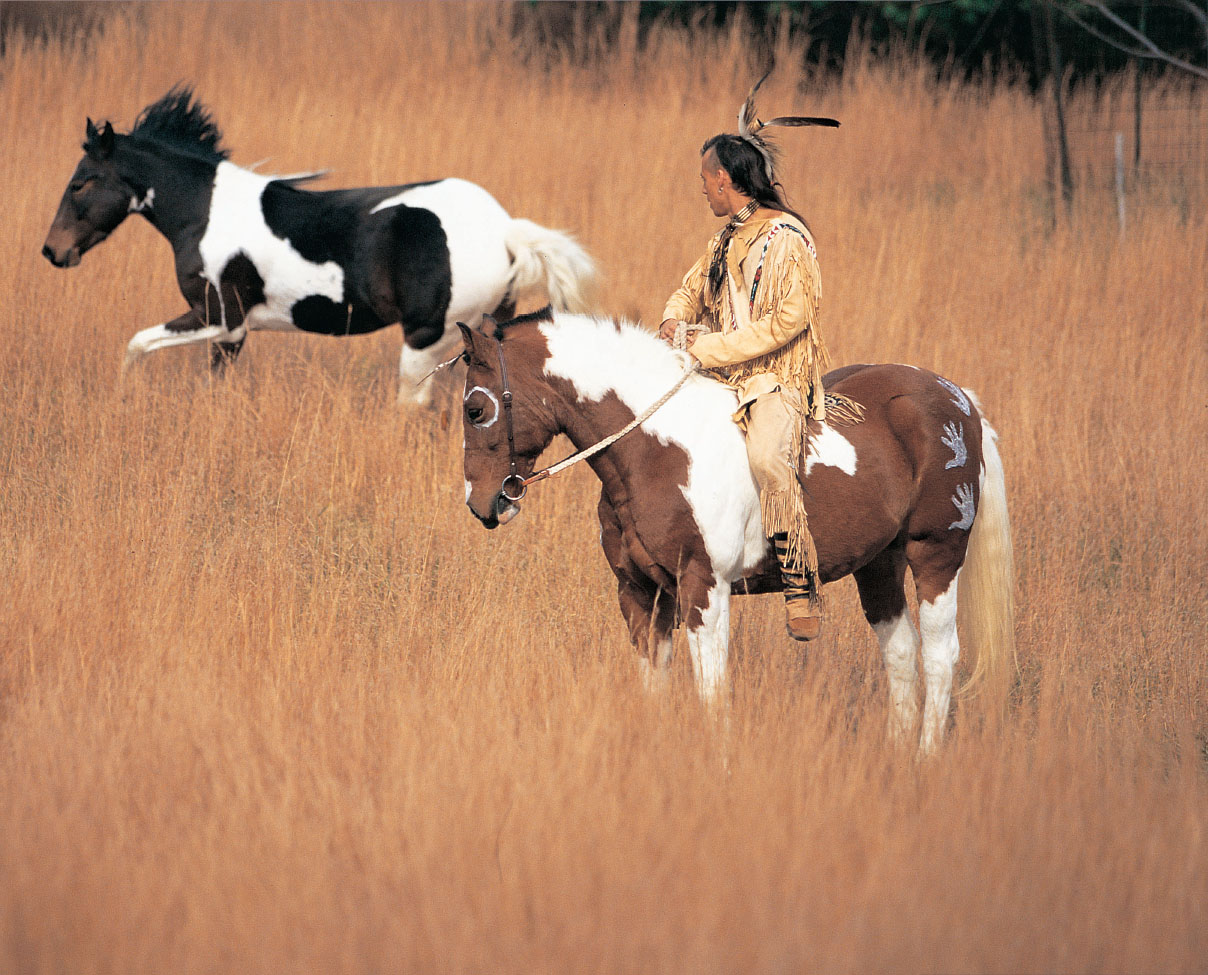 C ONTENTS I NTRODUCTION This is the Native American horseman For many - photo 3