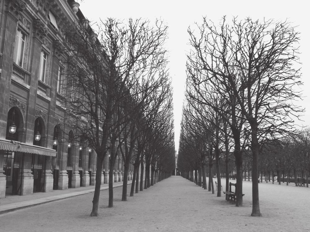 1 Palais Royal gardens Having dispensed with overbearing family ties and fled - photo 1