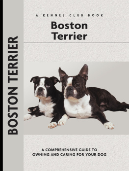 Bettencourt - Boston Terrier