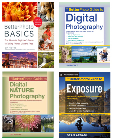 BetterPhoto Basics The BetterPhoto Guide to Digital Photography The BetterPhoto - photo 3