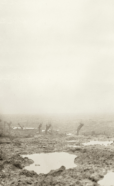 In Flanders fields 100 years - photo 3