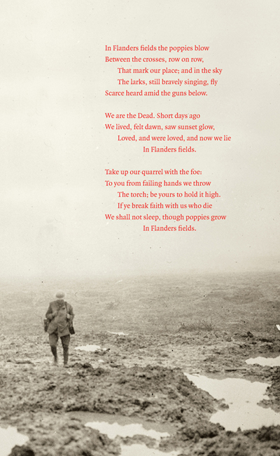 In Flanders fields 100 years - photo 4