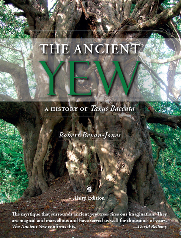 THE ANCIENT YEW This book is dedicated to Lindsey The Ancient Yew A History - photo 1