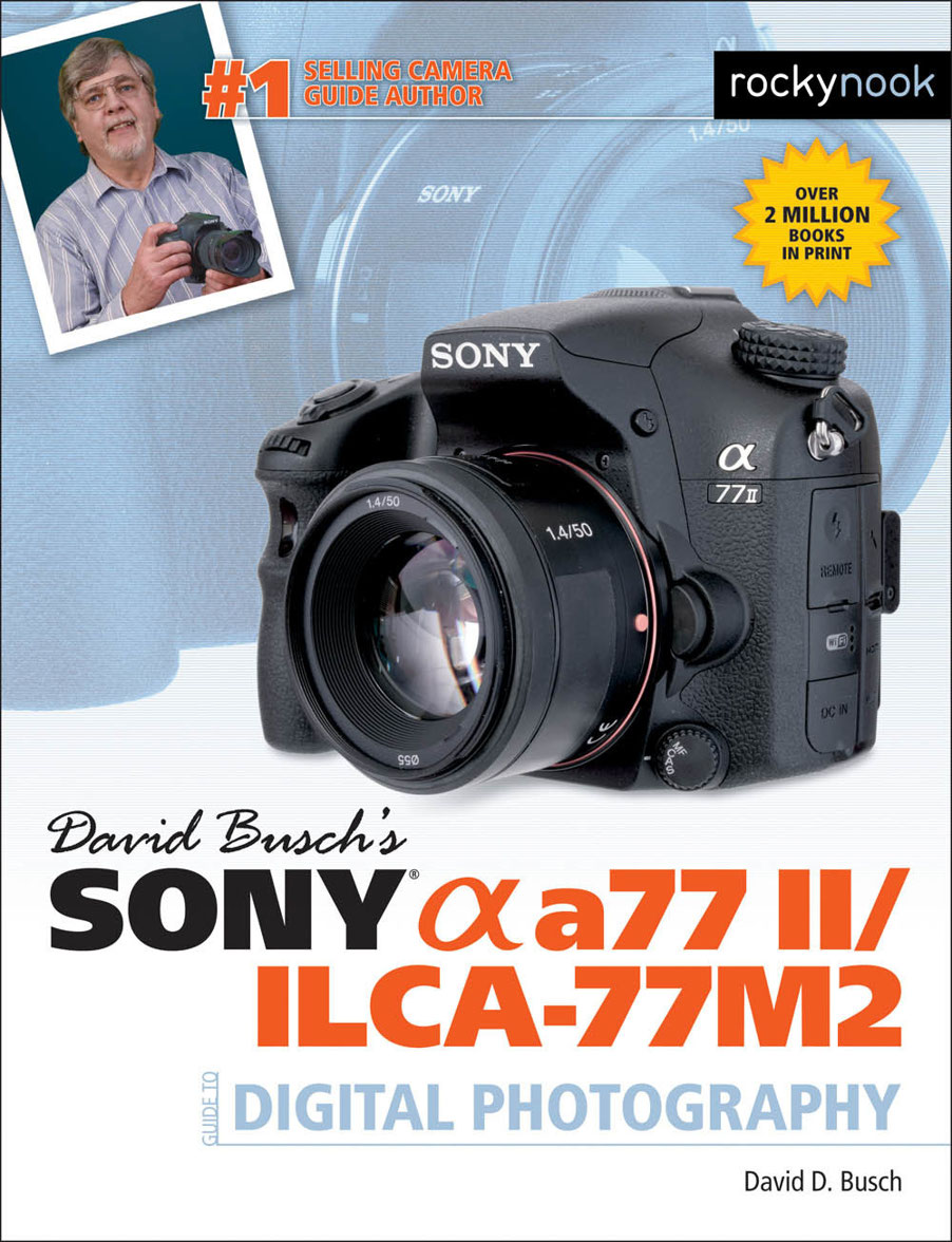 DAVID BUSCHS SONY a77 IIILCA-77M2 GUIDE TO DIGITAL PHOTOGRAPHY David D - photo 1