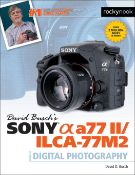David Busch - David Busch’s Sony Alpha A77 II/ILCA-77M2 Guide to Digital Photography