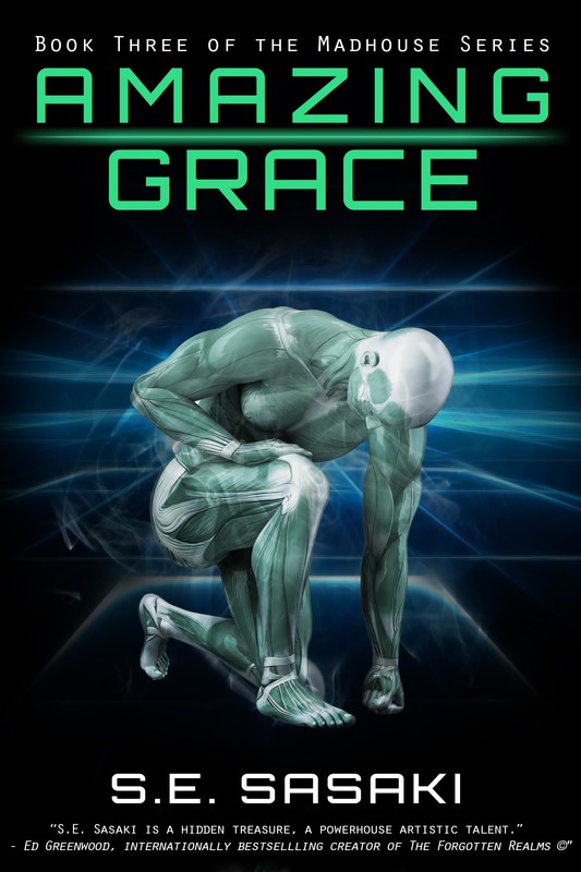 AMAZING GRACE Book Three of the Grace Lord Series SE SASAKI Oddoc Books - photo 1