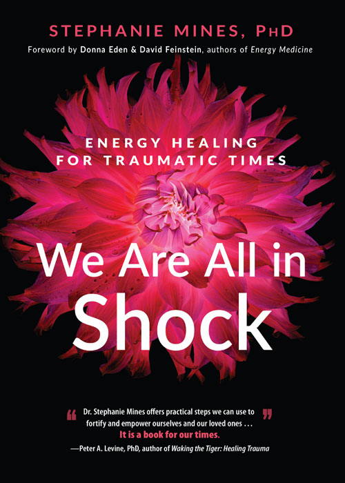 Praise for We Are All in Shock This is a book that is engaging intellectually - photo 1