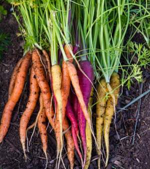 Where do I start First write down which fruit veg and herbs you love to eat - photo 1