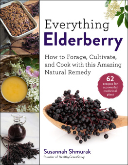 Susannah Shmurak Everything Elderberry