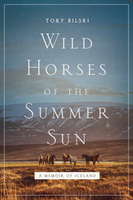Bilski - Wild horses of the summer sun: a memoir of Iceland