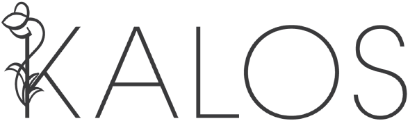 The word kalos means beautiful It is the call of the good that which - photo 2