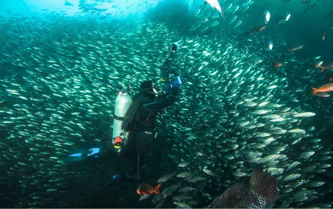 The Galapagos Islands provide a once-in-a-lifetime opportunity to experience - photo 3