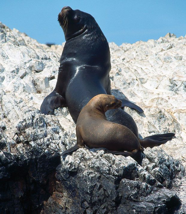 Lonely Planet Discover Peru - image 37