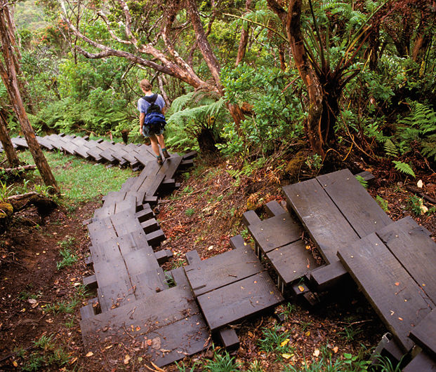 Discover Kauai this edition written and researched - image 27