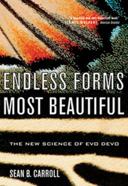 Carroll - Endless forms most beautiful: the new science of Evo Devo and the making of the animal kingdom