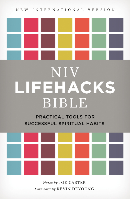 NIV lifehacks Bible practical tools for successful spiritual habits - image 1