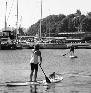 Nikki Gregg and her dog Nui teach a stand up paddling class on Seattles Lake - photo 7