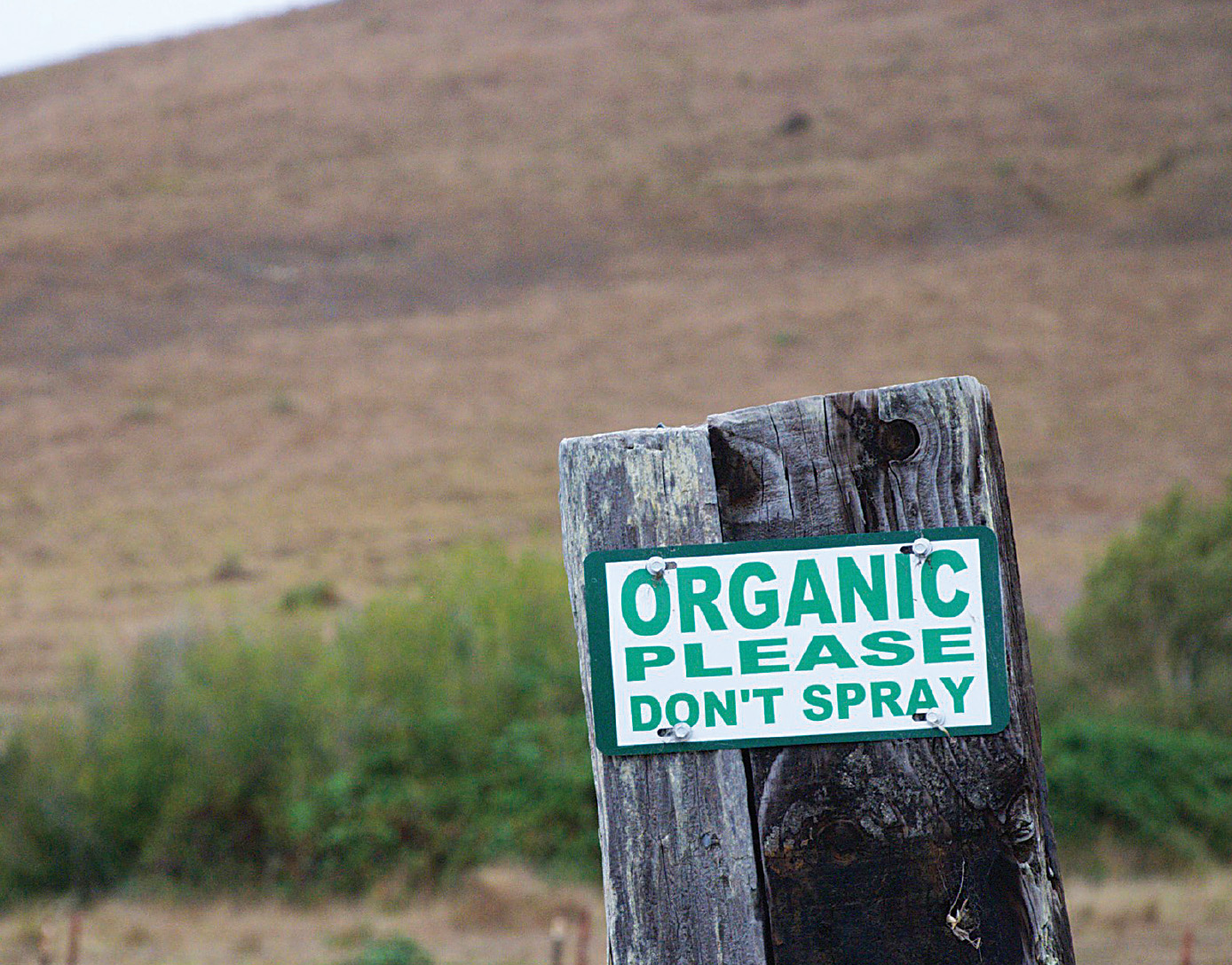 Small farmers struggle against large farms CHAPTER TWO SEED PIONEERS Any - photo 7