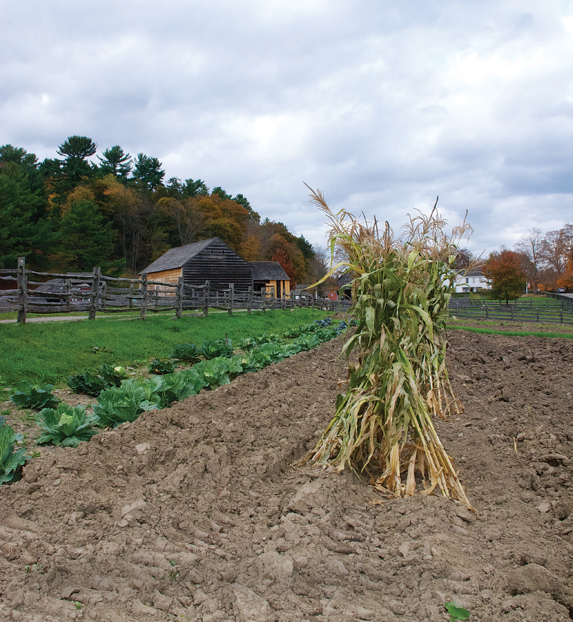 Early farm at the Farmers Museum in Cooperstown New York Lets take a look - photo 9