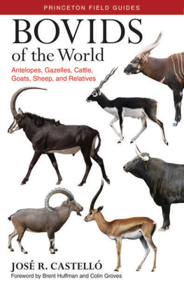 Castelló José R. - Bovids of the world - antelopes, gazelles, cattle, goats, sheep, and relati