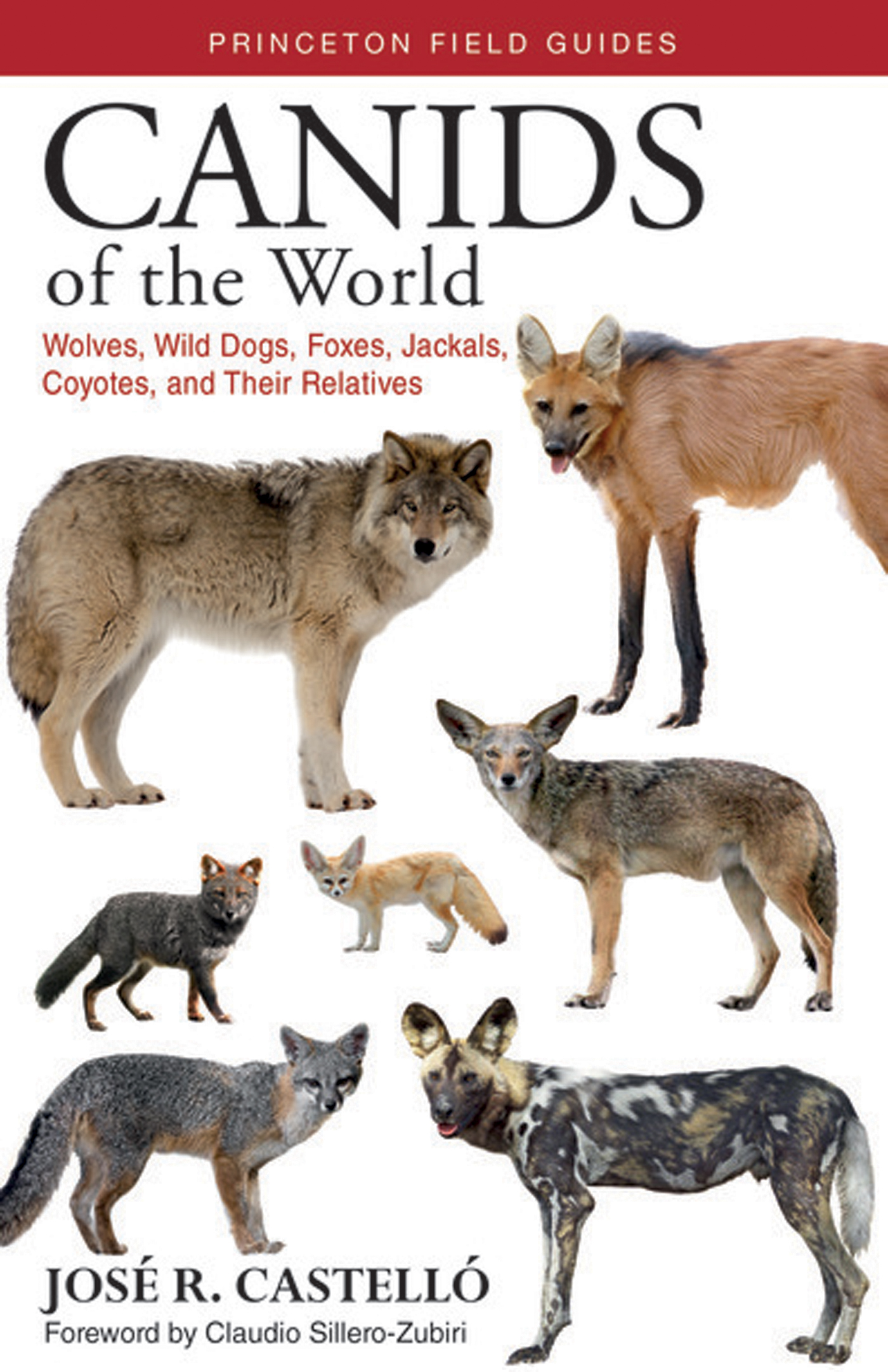 CANIDS OF THE WORLD Wolves Wild Dogs Foxes Jackals Coyotes and Their - photo 1