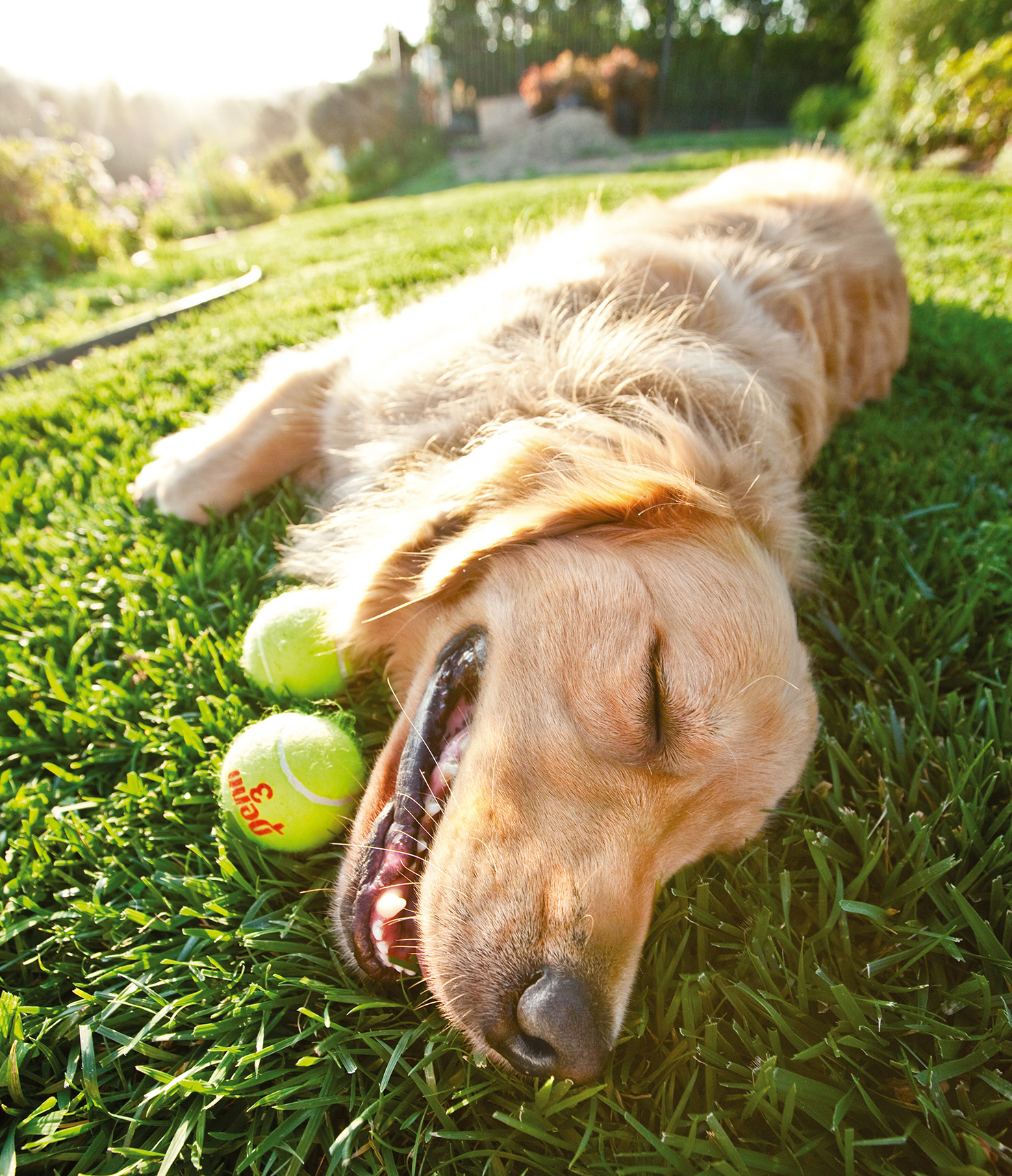 If loving tennis balls is wrong I dont want to be right I just scared - photo 4