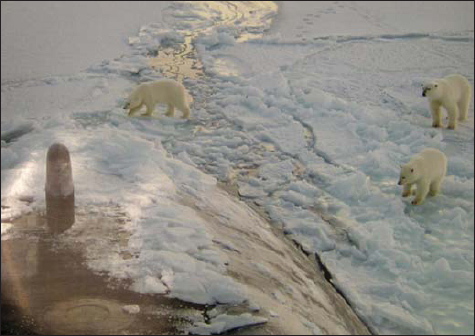 Polar bears examine a Sturgeon Class boat surfaced in the Arctic When surfaced - photo 2