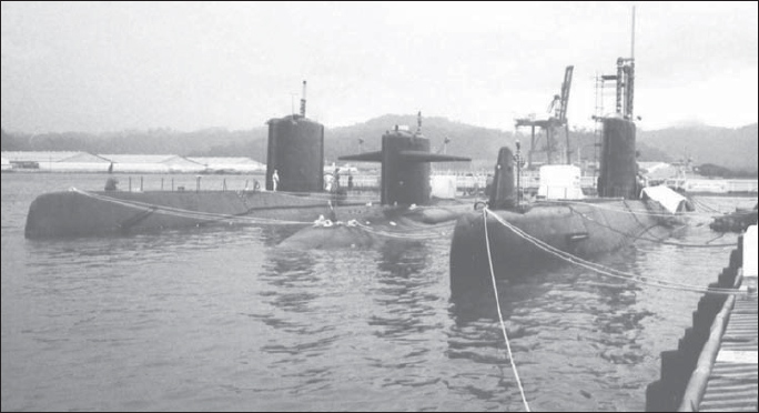 From left to right a Skate Class a Permit Class and a Tang Class The two - photo 3