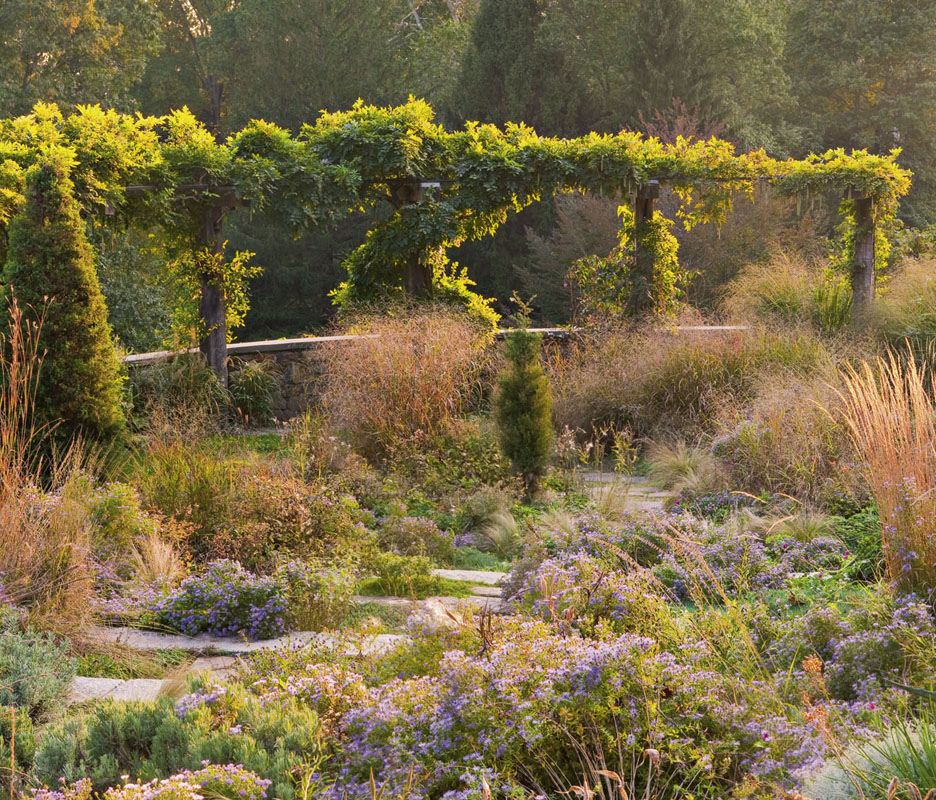 Ornamental grasses and asters extend the fall season at Chanticleer Garden in - photo 1