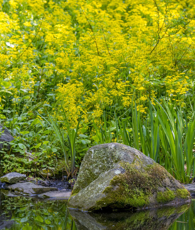 This pond and waterfall were designed to appear as though they were naturally - photo 1