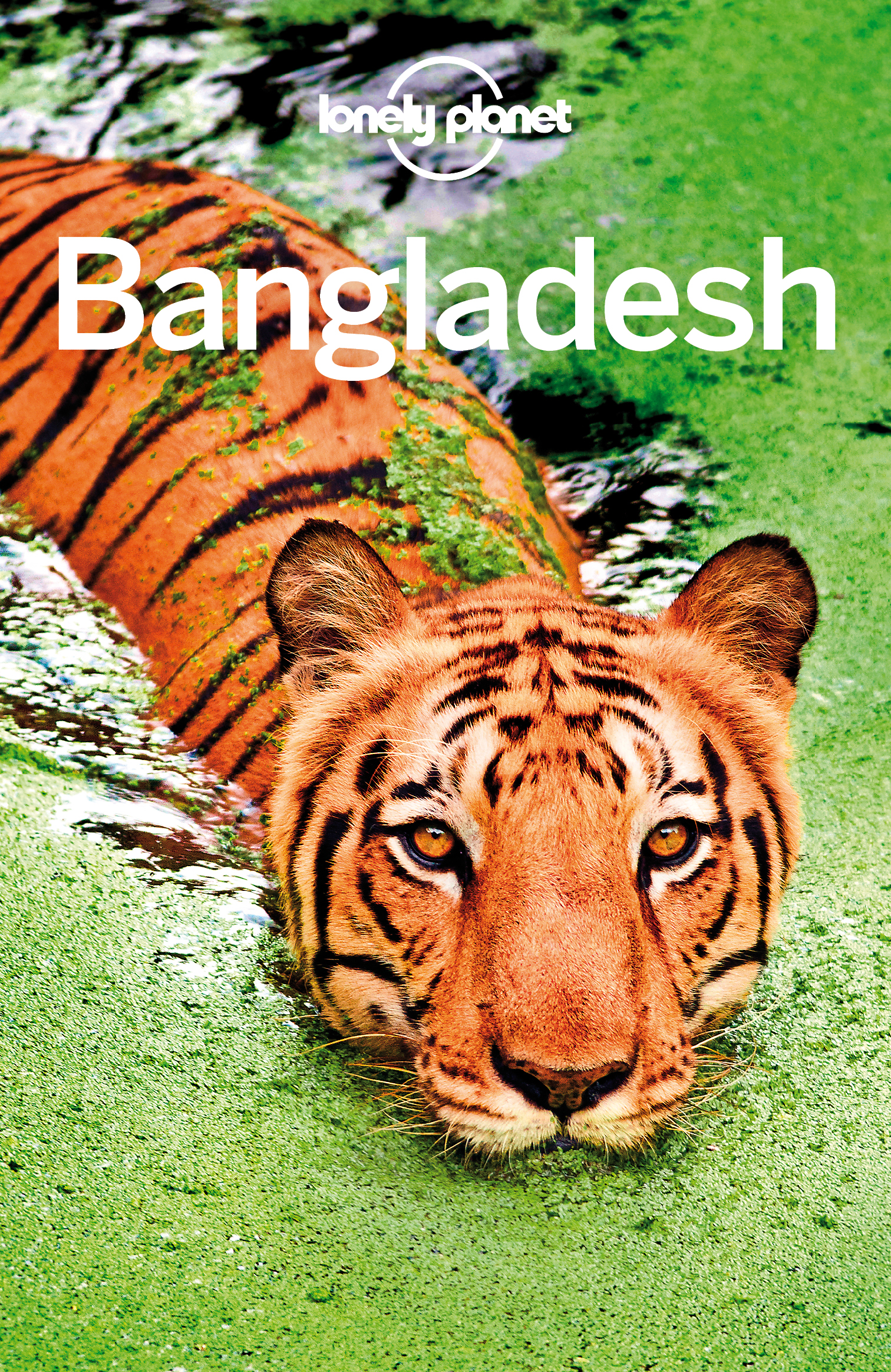 Lonely Planet Bangladesh - image 1