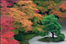 A flattopped cone of sand at Ginkaku-ji Visitors to Kennin-ji Inner gardens - photo 5