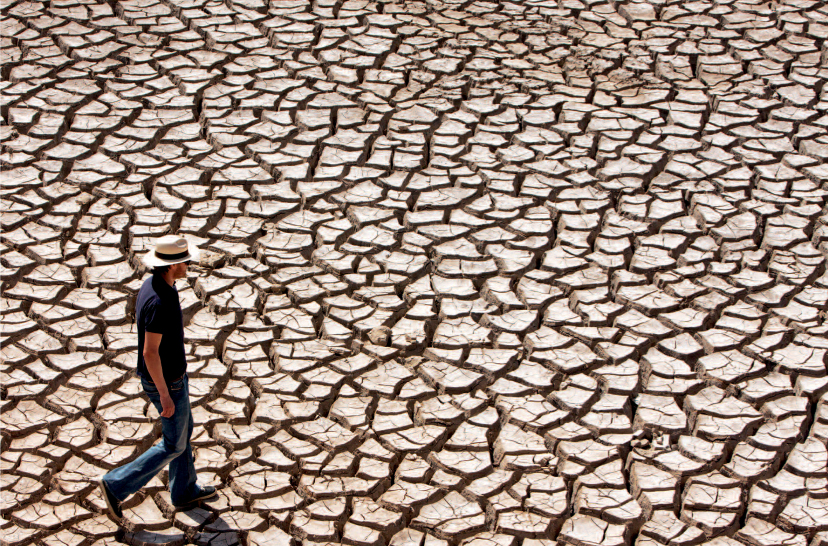 Wine producers in many parts of the world are worried by the lack of rainfall - photo 5