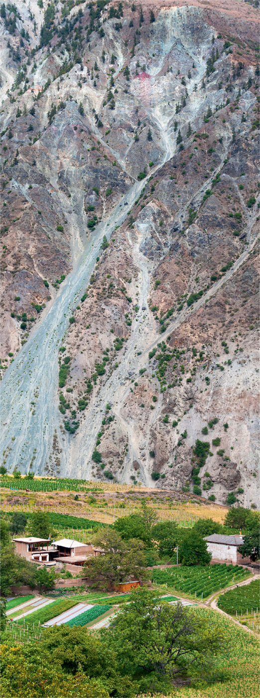 China is now a serious wine-producing nation These vineyards are near - photo 5