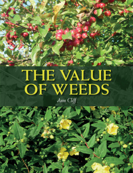 Cliff The Value of Weeds