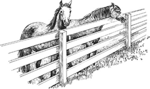 A fence built for horses must be strong safe and economical The fence types - photo 1