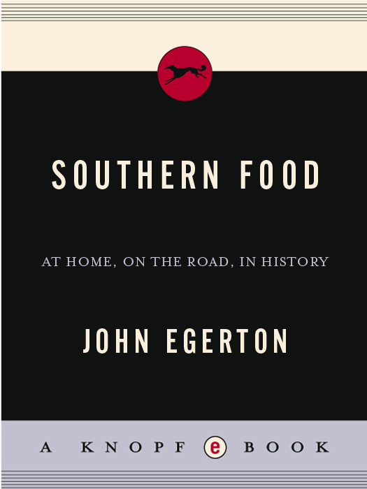 Southern food at home on the road in history - photo 1