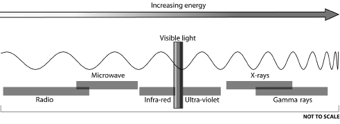 1 The electromagnetic spectrum visible light forms a small segment near the - photo 4