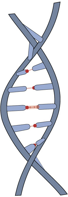 INTRODUCTION Quantum physics is often regarded as obscure and weird While it - photo 3