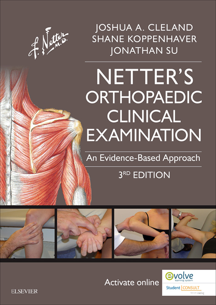 Netters Orthopaedic Clinical Examination An Evidence-Based Approach THIRD - photo 1