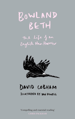 Cobham David - Bowland Beth: the life of an English hen harrier