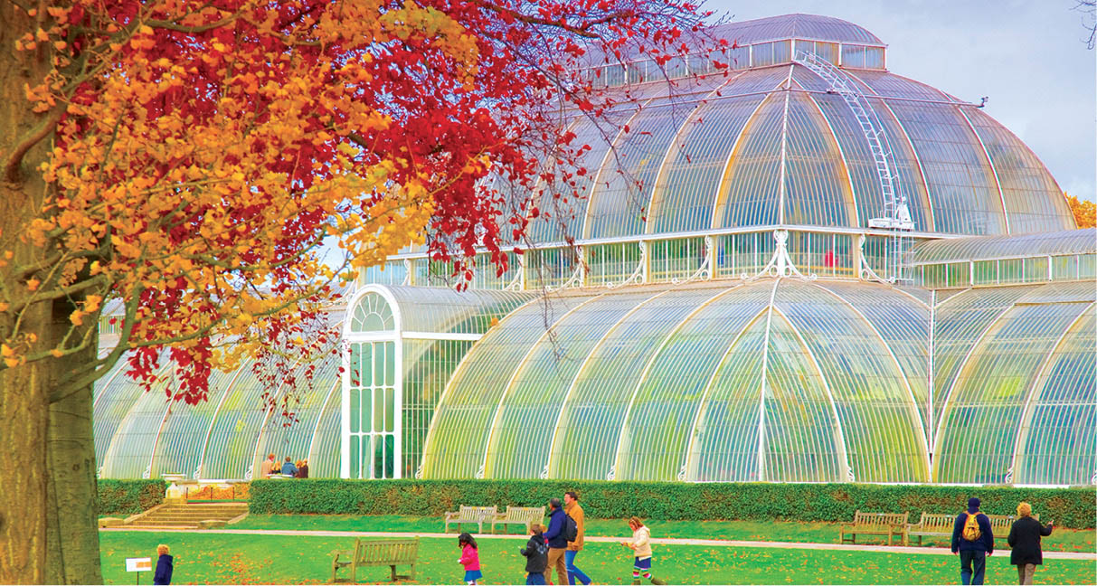 The Palm House at the Royal Botanic Gardens is one of the most important - photo 17