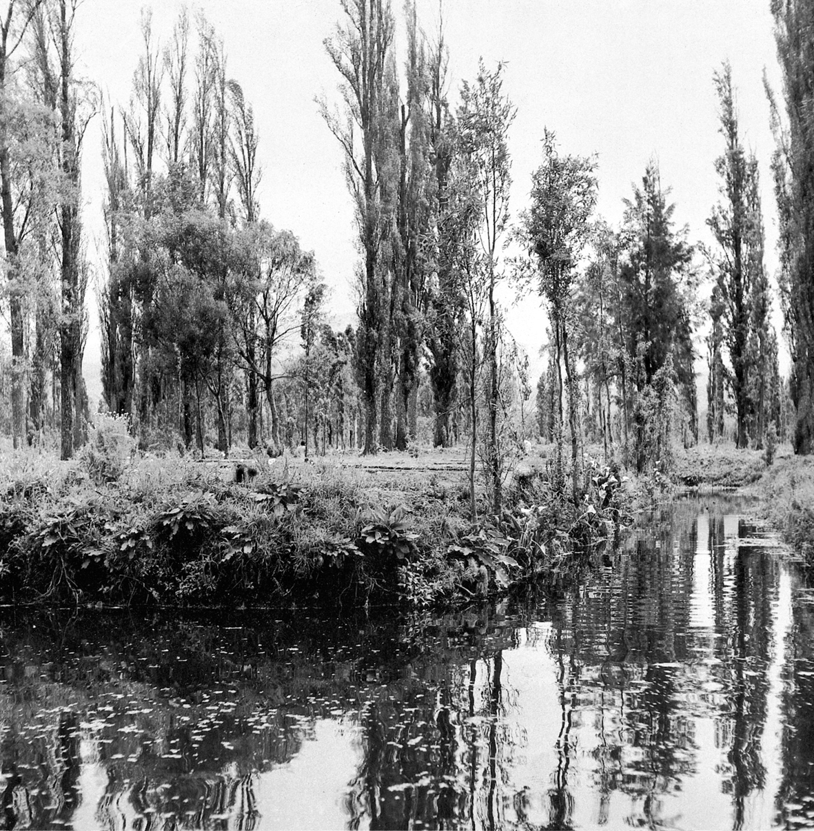 3 Chinampas or floating gardens in the vicinity of Xochimilco Valley of - photo 4