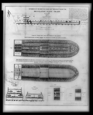 Contemporary poster illustrating the layout of a slave ship The traders sailed - photo 3