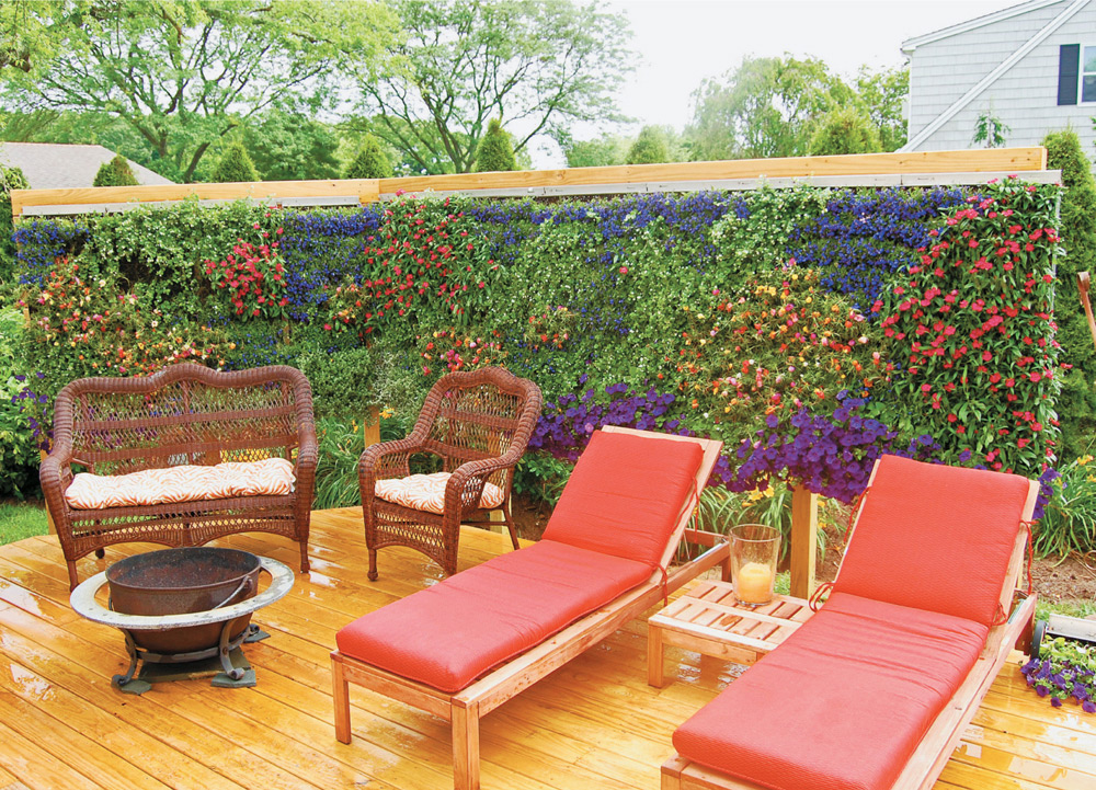 Living walls offer brilliant solutions such as creating privacy for home - photo 5