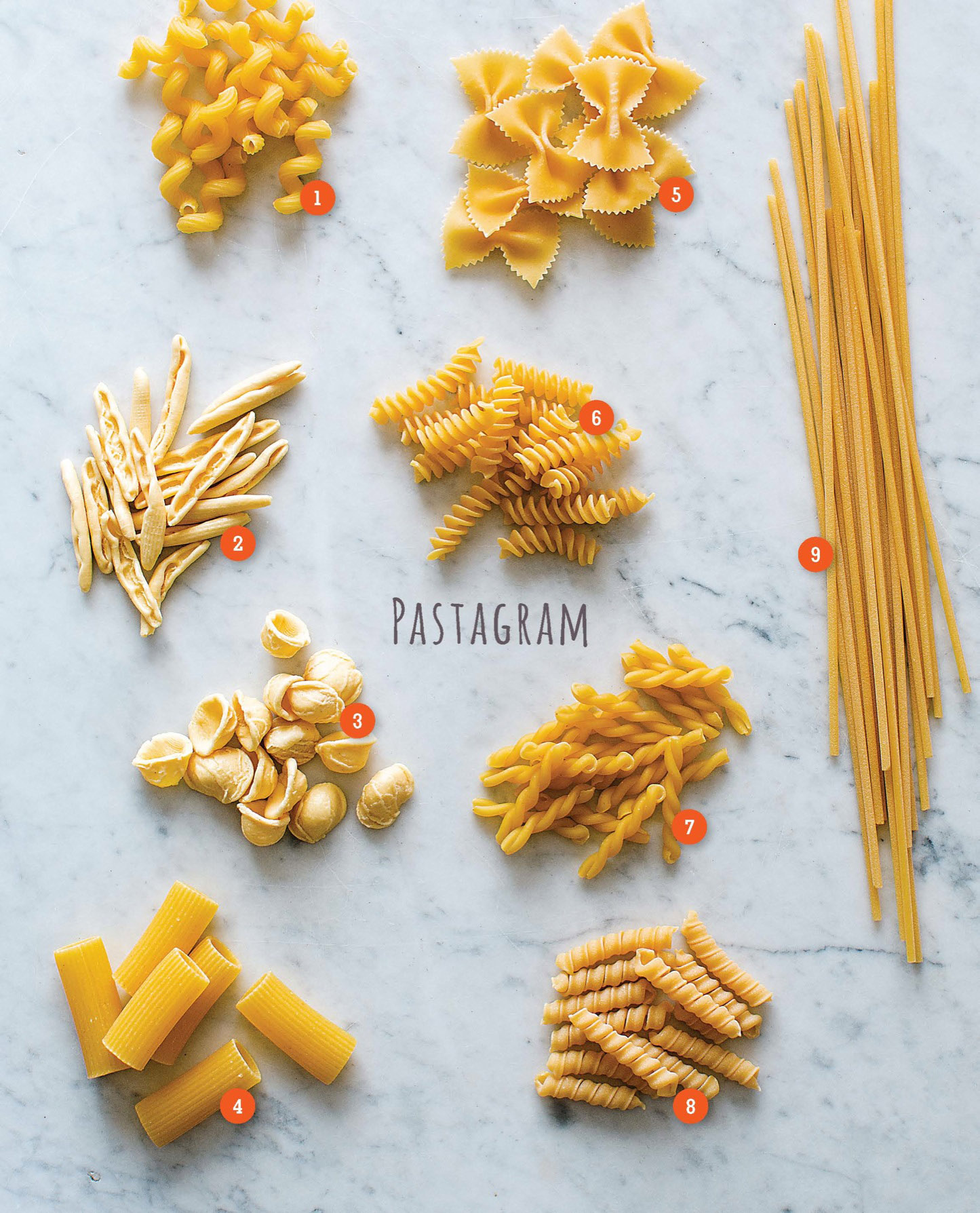 cavatappi capunti orecchiette rigatoni farfalle fusilli gemelli cannolicchi - photo 6