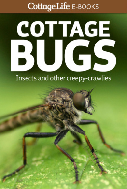 Cottage Life Media - Cottage bugs: insects and other creepy-crawlies